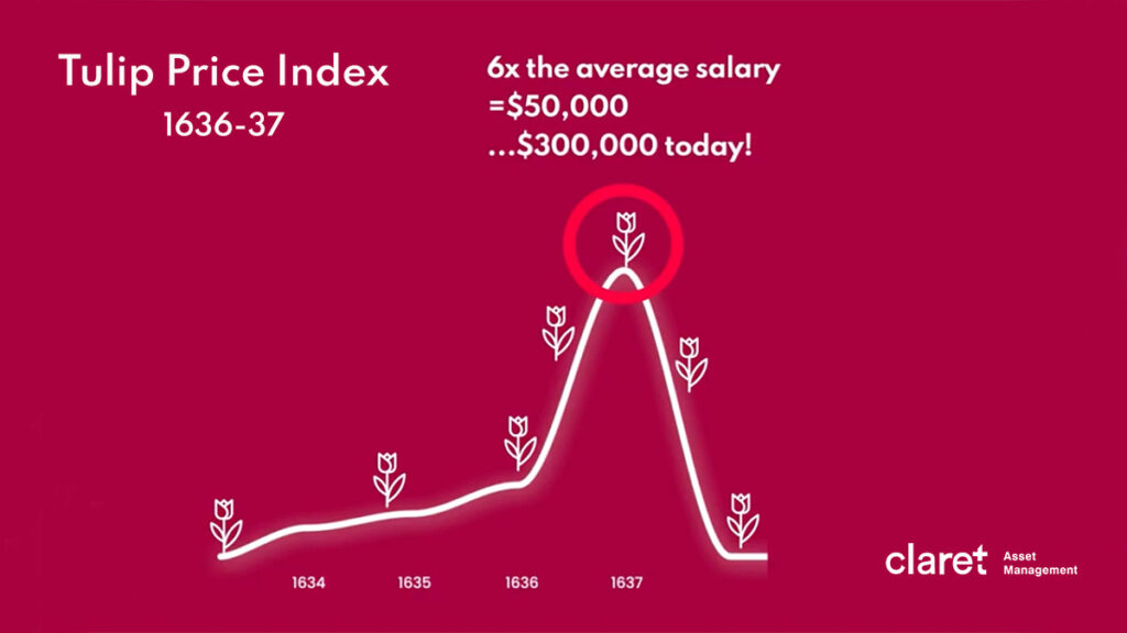 financial bubbles - tulip mania chart